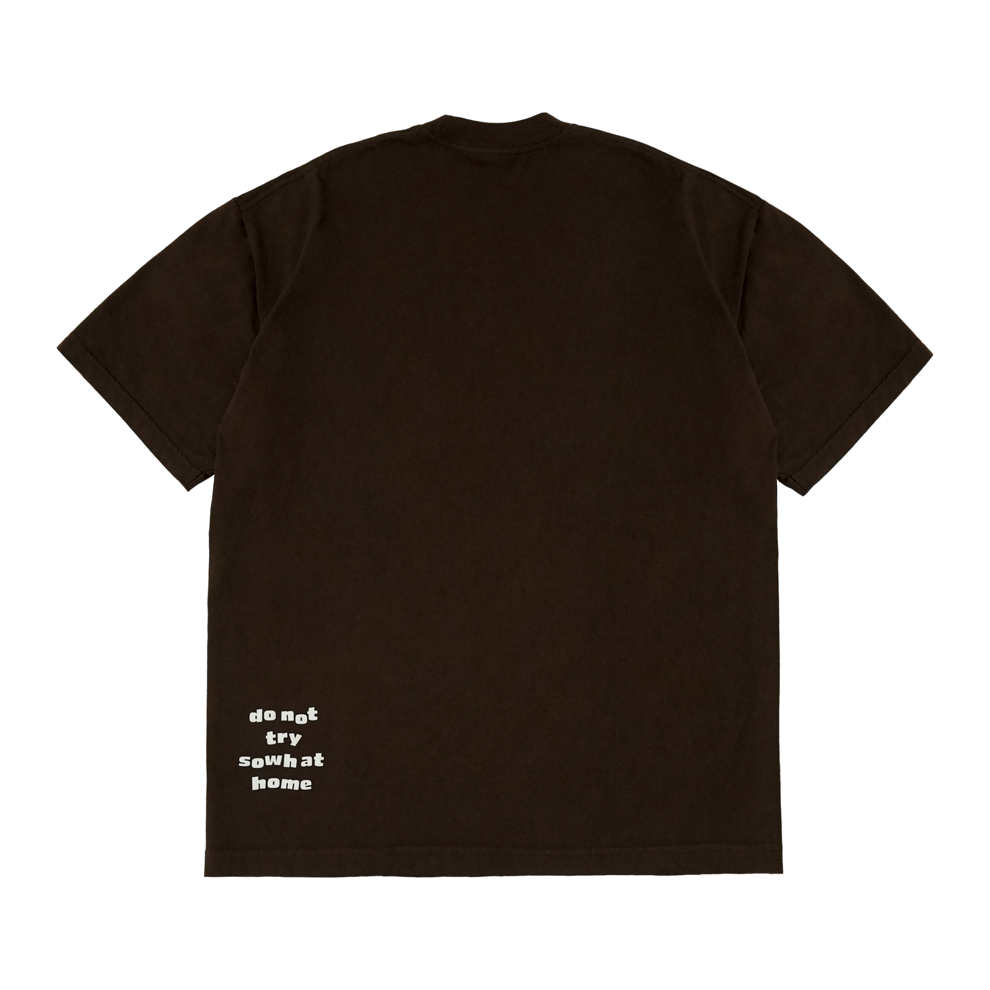 WALK OF FAME TEE BROWN